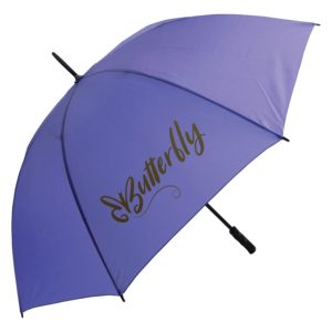 Budgetstorm Plus