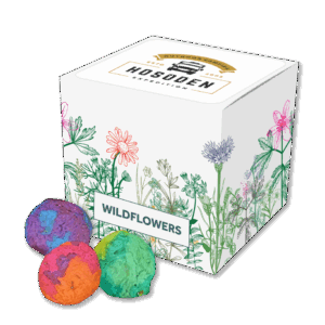 Essentials Rainball Seed Cubes